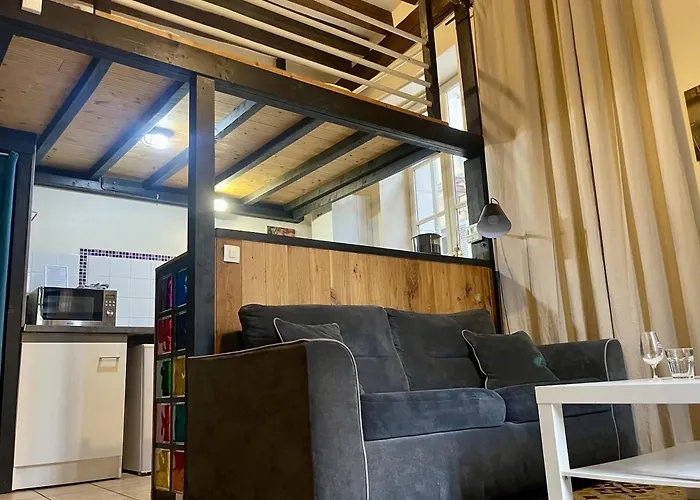 Appartement Le Cadet Roussel Auxerre Les Quais